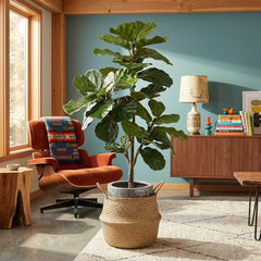 Fiddle Leaf Plant by Allstate Floral styled in a Portland home - faux indoor greenery - Whats New Furniture