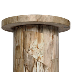 Aida End Table in Light Petrified Wood detail view - Whats New Furniture Portland OR