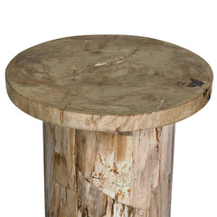 Aida End Table in Light Petrified Wood detail view - Whats New Furniture Portland OR