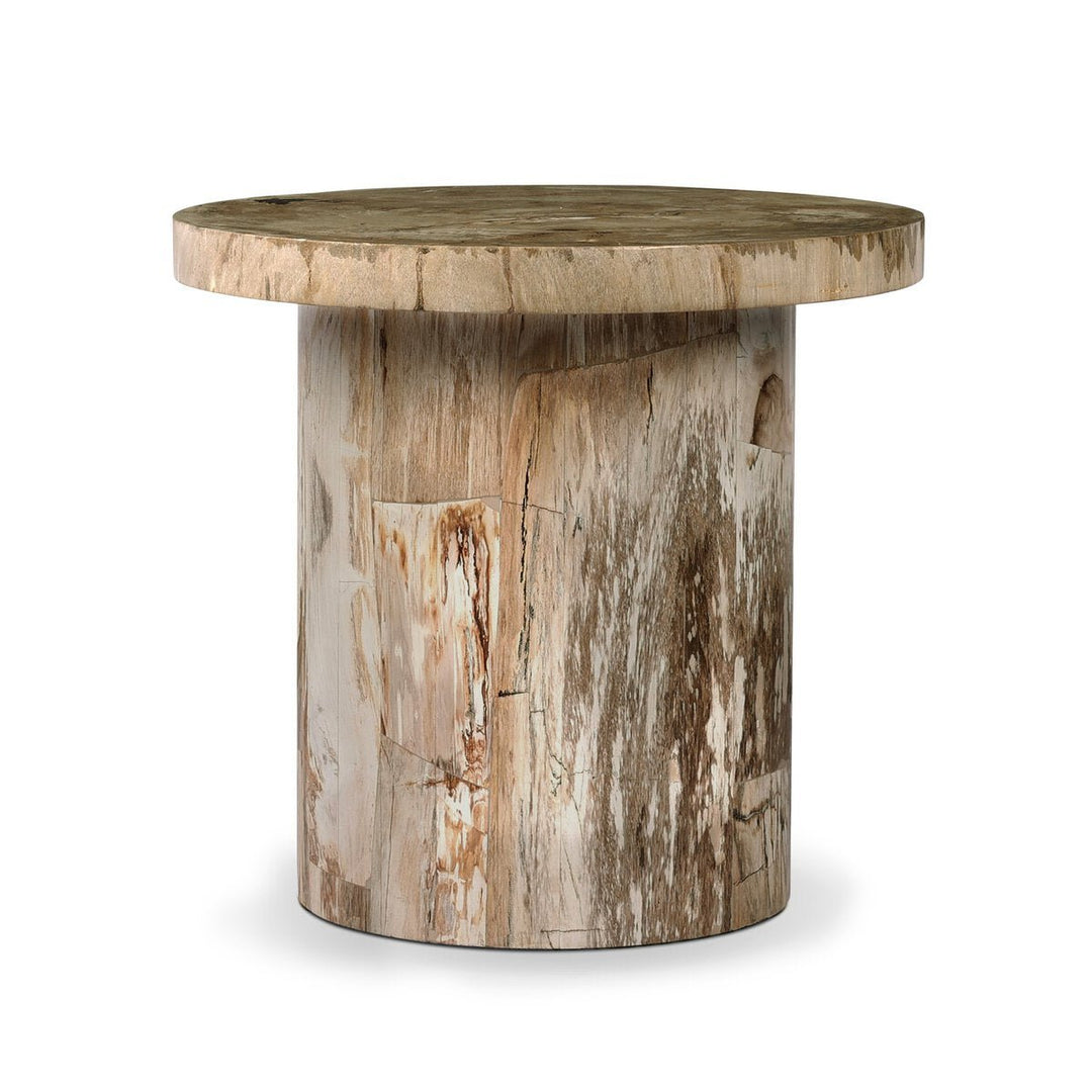 Aida End Table in Light Petrified Wood front studio view - Whats New Furniture Portland OR