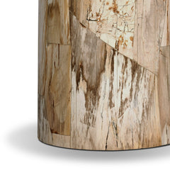 Aida End Table in Light Petrified Wood detail view - Whats New Furniture Portland OR