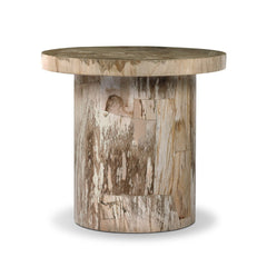Aida End Table in Light Petrified Wood three-quarter view - Whats New Furniture Portland OR