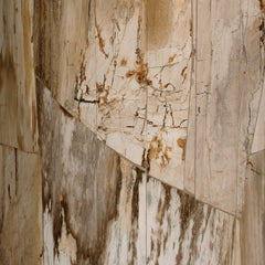 Aida End Table in Light Petrified Wood side view - Whats New Furniture Portland OR
