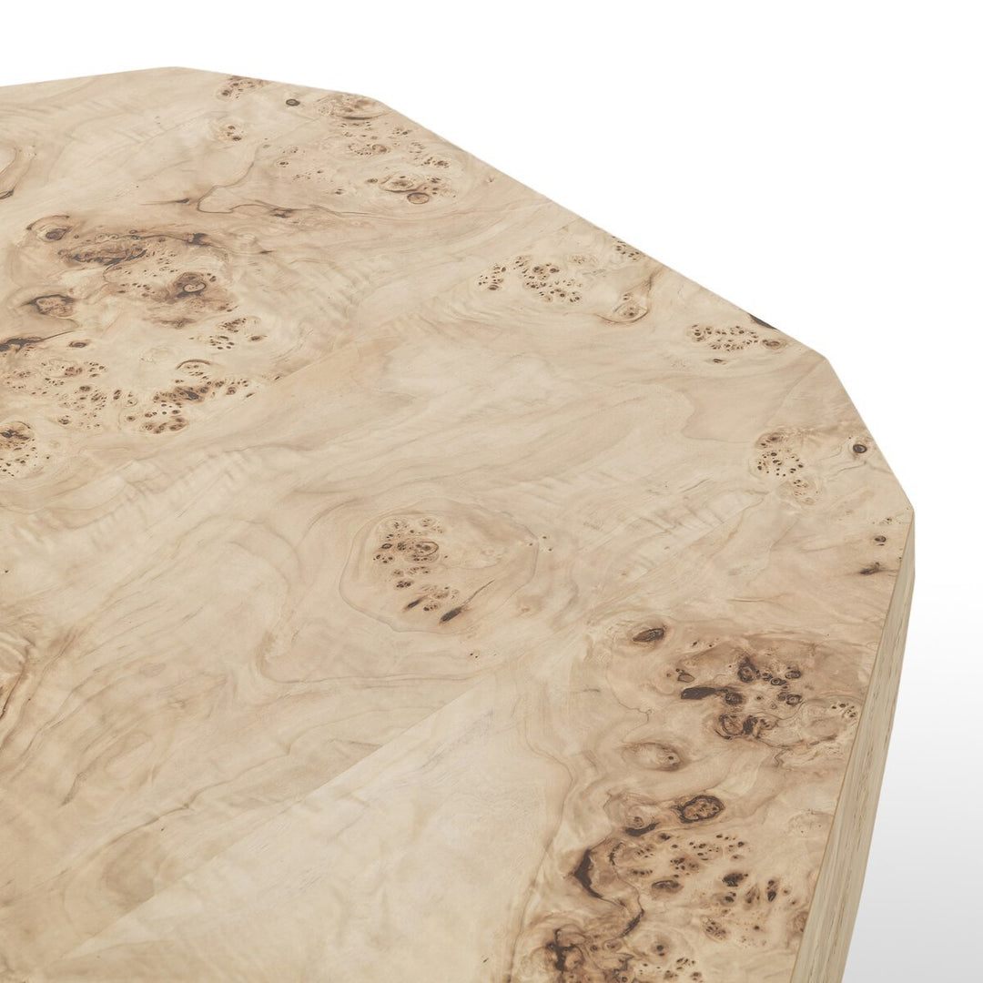 Elena Coffee Table in Light Burl fourth detail view - Whats New Furniture Portland OR