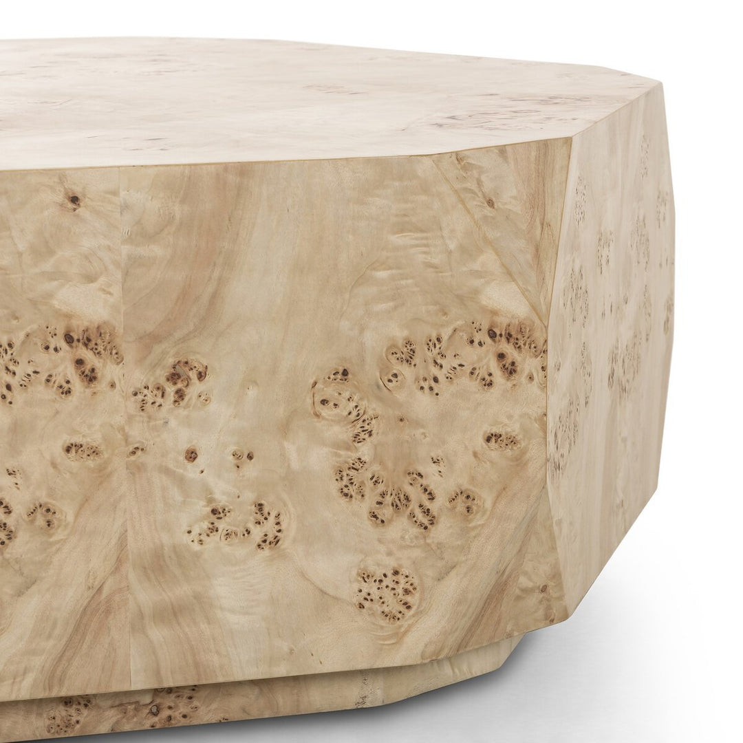 Elena Coffee Table in Light Burl third detail view - Whats New Furniture Portland OR