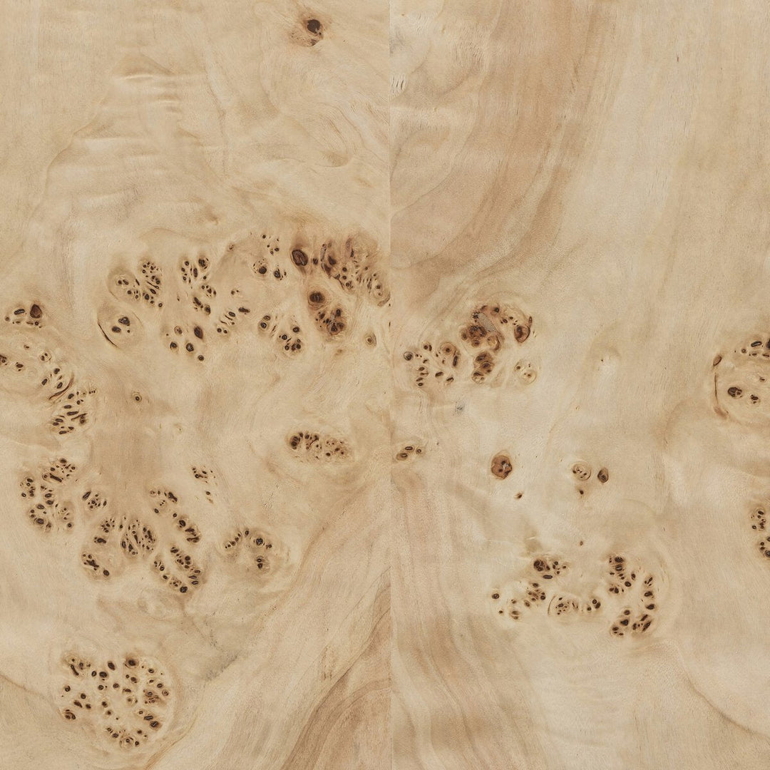 Elena Coffee Table in Light Burl detail view - Whats New Furniture Portland OR