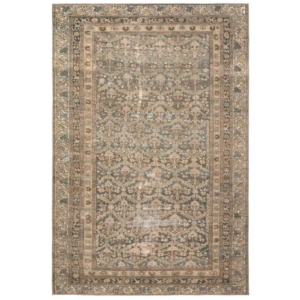 Rug in Safari - Whats New Furniture - Portland, Oregon