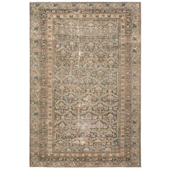 Rug in Safari in Safari - power-loomed area rug by Jaipur Living - Whats New Furniture Portland OR