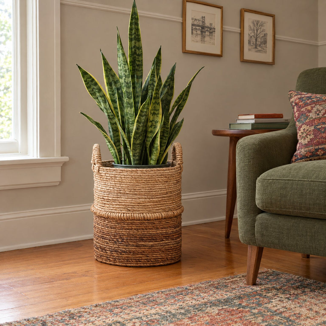 Hickory Basket, Small styled in a Portland home - Dovetail - Whats New Furniture Portland OR