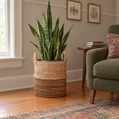 Hickory Basket, Small styled in a Portland home - Dovetail - Whats New Furniture Portland OR