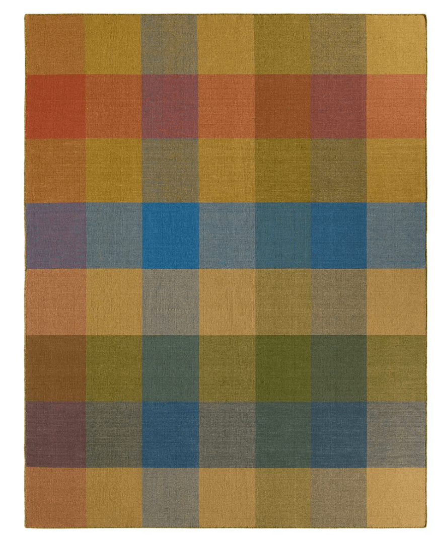 Pleda Handwoven Area Rug - What&
