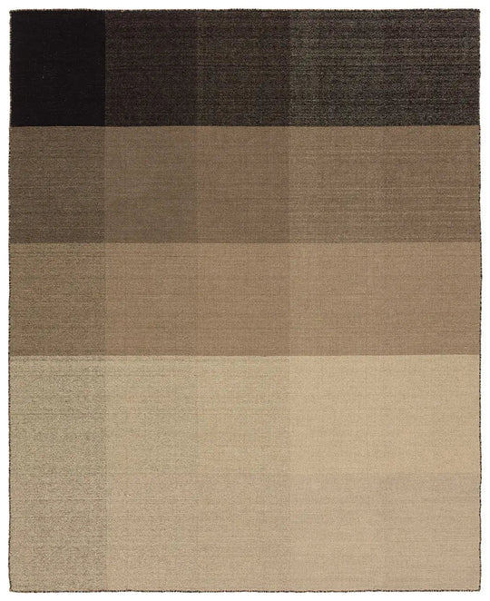 Pleda Handwoven Area Rug - What&
