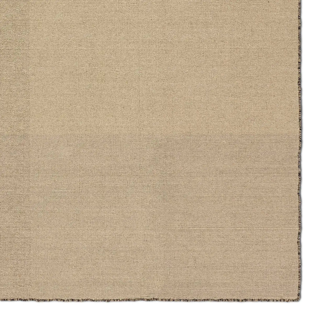 Pleda Handwoven Area Rug - What&