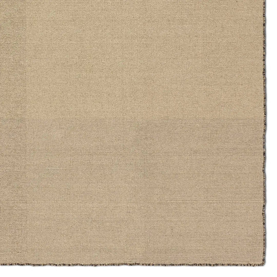 Pleda Handwoven Area Rug - What&