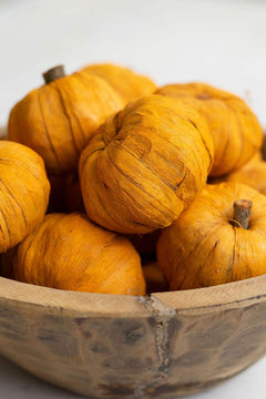 Bag of 15 Dried Miniature Faux Pumpkins group - home decor by Kalalou - Whats New Furniture Portland OR