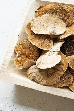 Bag of 48 Dried Sponge Mushrooms by Kalalou - alternate product view 3