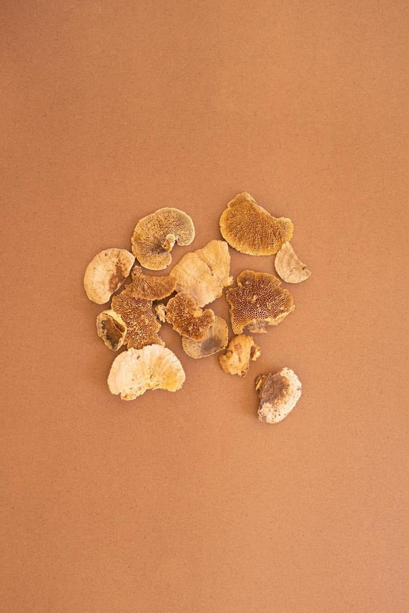 Bag of 48 Dried Sponge Mushrooms by Kalalou - alternate product view 2