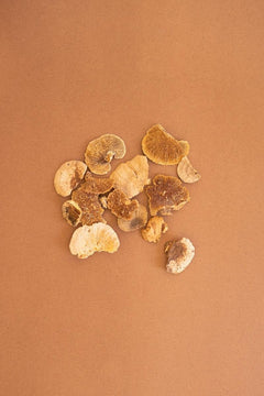 Bag of 48 Dried Sponge Mushrooms by Kalalou - alternate product view 2