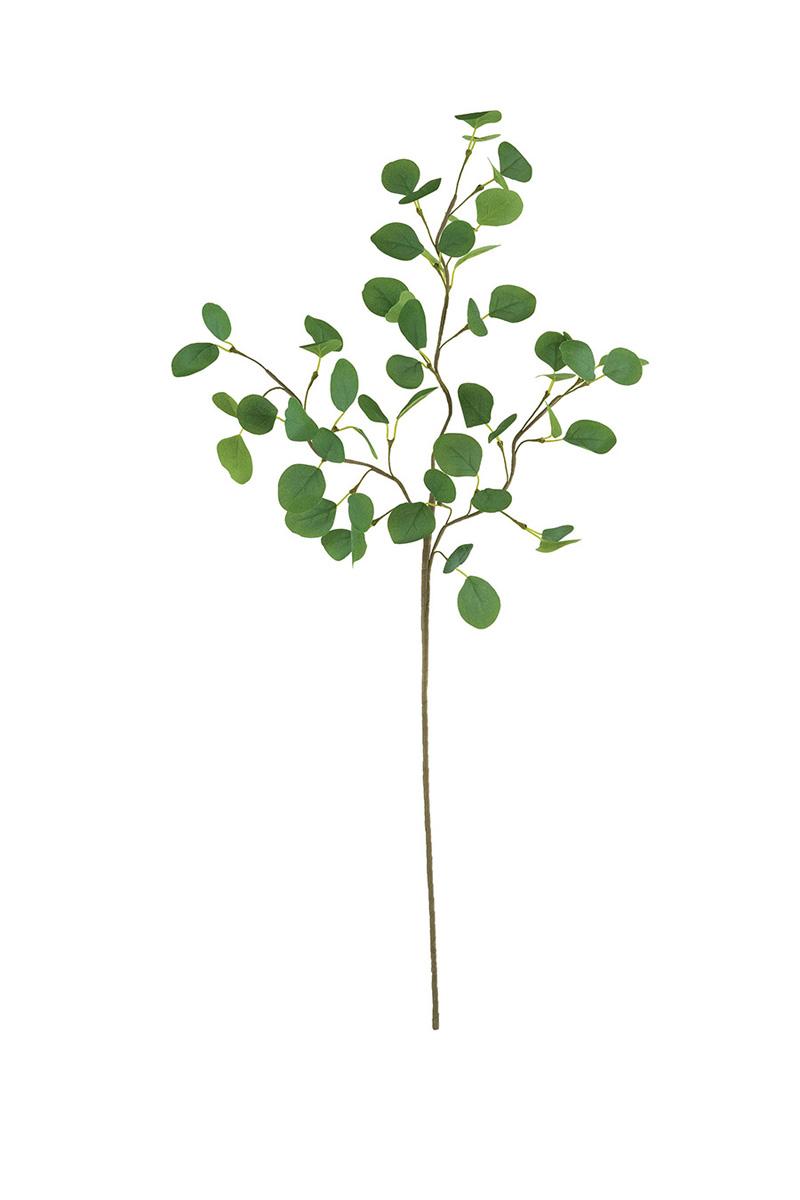 Botanica Silver Dollar Eucalyptus Stem on a studio background - faux plants by Kalalou - Whats New Furniture Portland OR