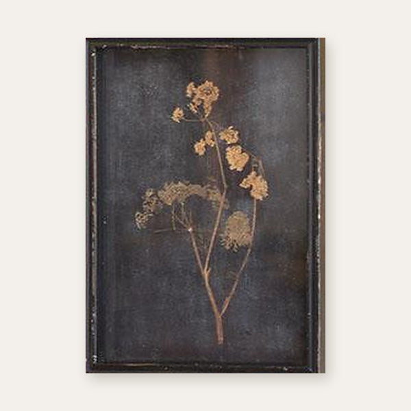 Botanical print of two round flower clusters pressed under glass in a distressed black frame