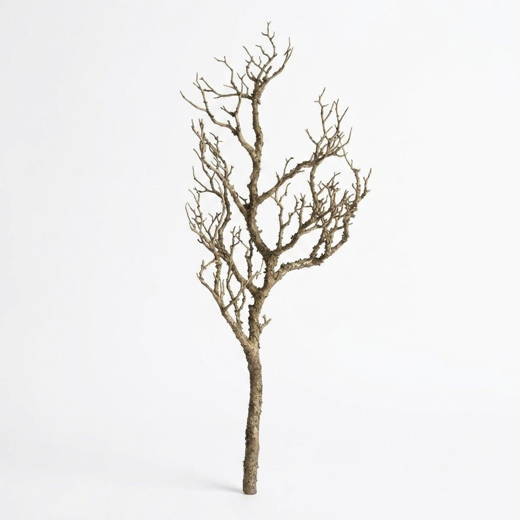 Faux bare wood branch 31 inches tall front view on white - artificial branch by Kalalou - Whats New Furniture Portland OR
