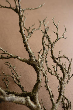 Close-up of the forked twigs and lichen-flecked bark on the faux bare wood branch - artificial branch by Kalalou - Whats New Furniture Portland OR