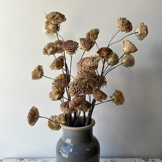 Faux Wired Long Stem Botanica - Whats New Furniture - Portland, Oregon