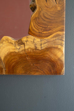 Live-Edge Teak Framed Mirror — detail view 2