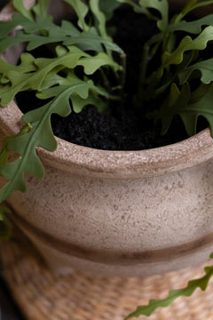 Set of 2 Terracotta Planters with Horizontal Brown Stripe by Kalalou - alternate product view 2