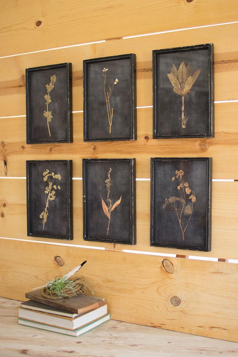 Set of Six Botanical Prints Under Glass