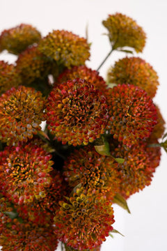 Bundle of 7 Faux Auburn Ball Dahlias — view 4