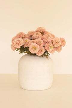 Bundle of 7 Faux Light Pink Ball Dahlias — view 2