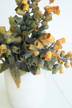 Faux Eucalyptus Pod Stem, 29-Inch Stem — view 3