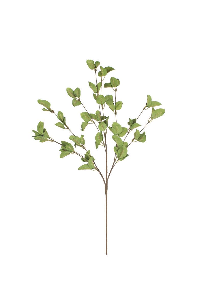 Faux Eucalyptus Stems, 26.5-Inch Stem — view 5