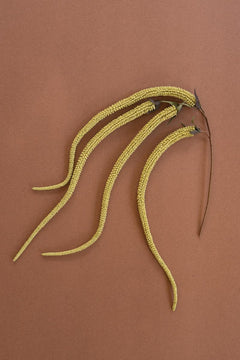 Faux Green Hanging Amaranthus, 43-Inch Stem — What&