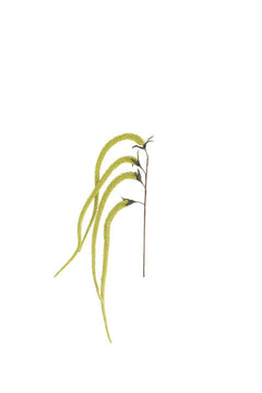 Faux Green Hanging Amaranthus, 43-Inch Stem — view 4
