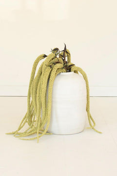Faux Green Hanging Amaranthus, 43-Inch Stem — view 2