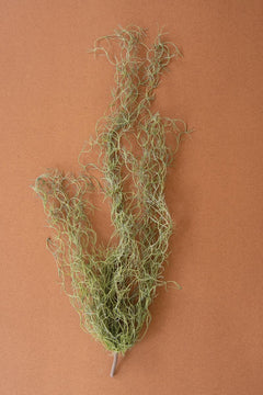 Faux Green Moss — What&