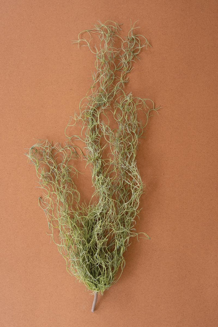 Faux Green Moss — What's New Furniture Portland