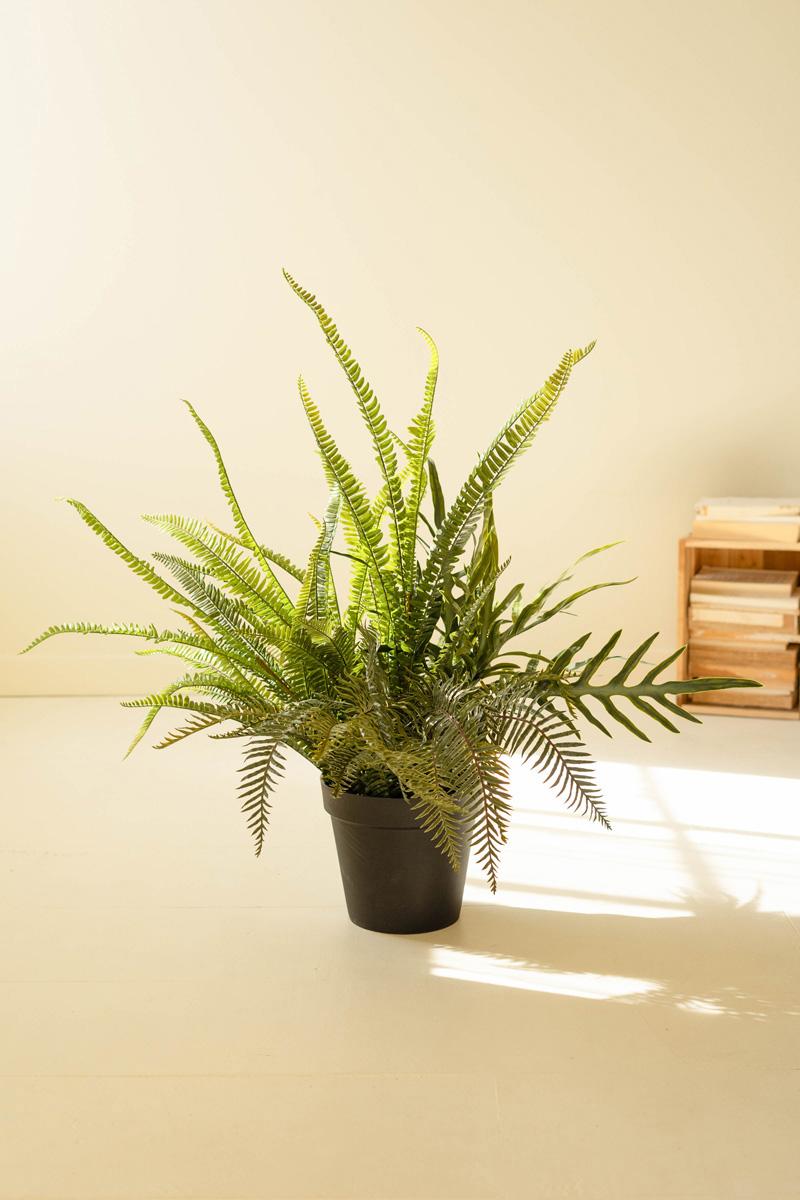 Faux Mixed Ferns in Pot — view 3