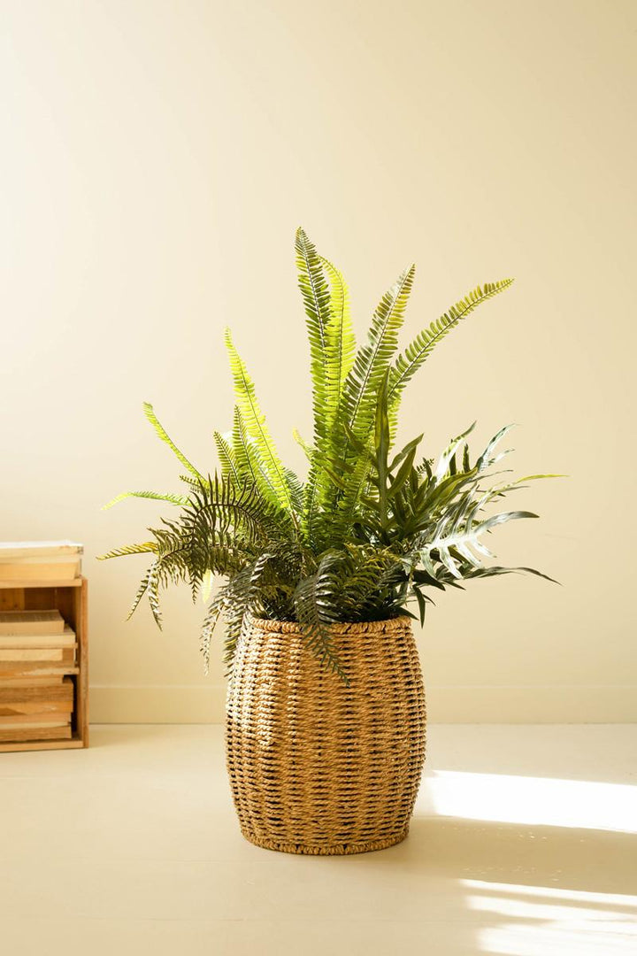 Faux Mixed Ferns in Pot — What's New Furniture Portland