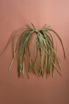 Faux Overflowing Frond, 55-Inch Stem — view 3