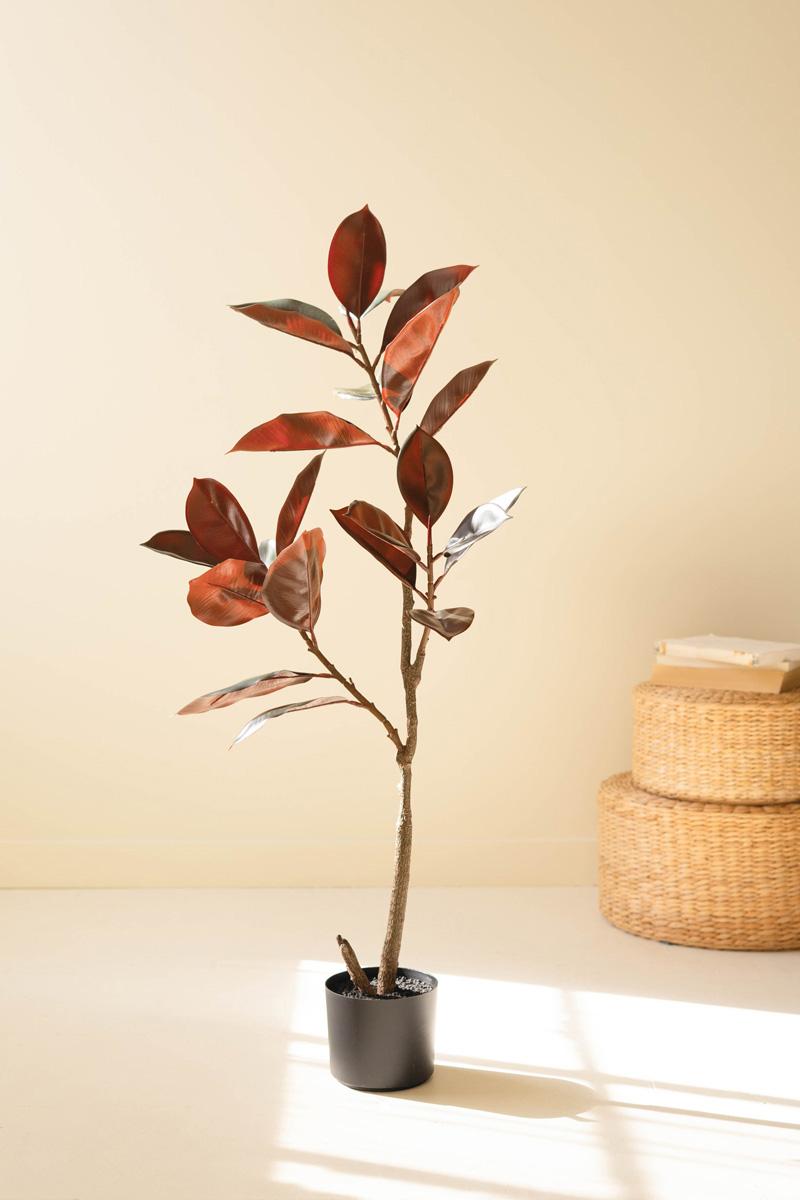 Faux Rubber Tree in Pot — What's New Furniture Portland