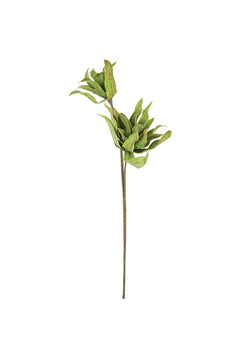 Faux Spiky Botanica Stem, 38-Inch Stem — view 4