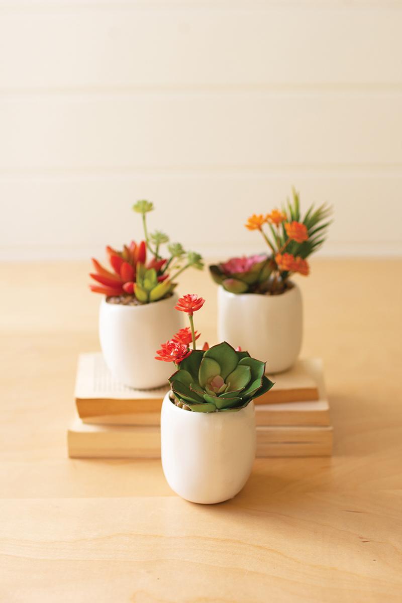 Faux Succulent Plant — What's New Furniture Portland