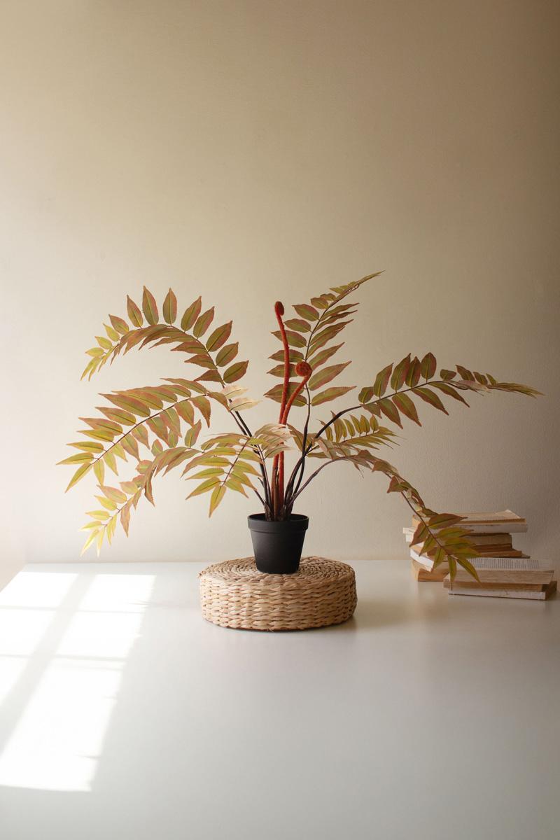 Faux Yellow Fern in Pot — view 2