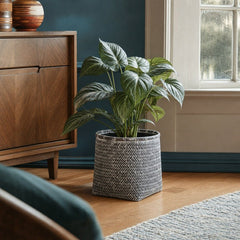 Bamboo Indoor Basket Pot in Grey Wash styled in Portland AlbertArts foursquare living room - Whats New Furniture