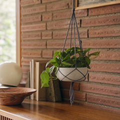 Circular Hanging Pot Small in Cement Grey styled in Portland 1960s Garden Home ranch living room - Whats New Furniture
