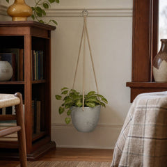 Classic Hanging Pot Medium in Cement Grey styled in Portland Irvington foursquare with original built-ins living room - Whats New Furniture
