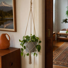 Craft Hanging Pot Medium in Cement Grey styled in Portland Montavillcottage living room - Whats New Furniture